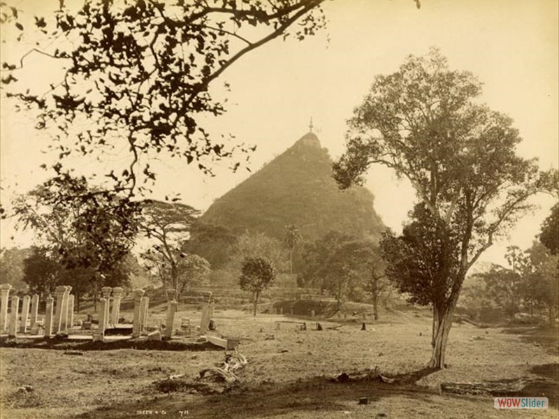 16.1 Ruwanweli seya